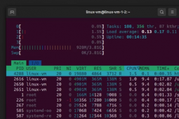 如何在 Linux 中检查 CPU 和内存利用率