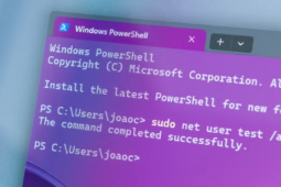 您也可以在 Windows 11 中使用 sudo