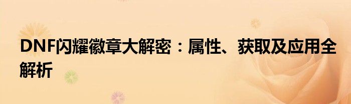 DNF闪耀徽章大解密：属性、获取及应用全解析