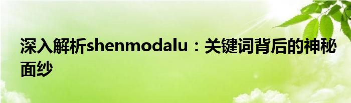 深入解析shenmodalu：关键词背后的神秘面纱