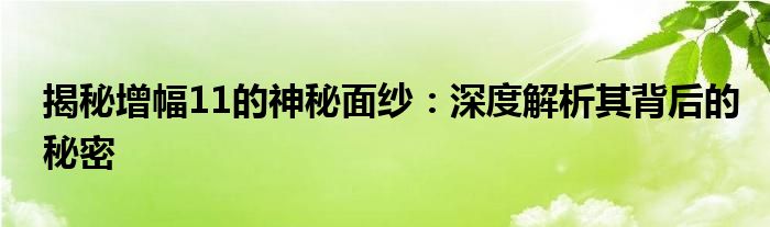 揭秘增幅11的神秘面纱：深度解析其背后的秘密