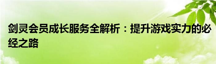 剑灵会员成长服务全解析：提升游戏实力的必经之路