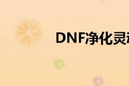 DNF净化灵魂结晶获取攻略