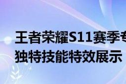 王者荣耀S11赛季专属皮肤曝光：全新外观，独特技能特效展示