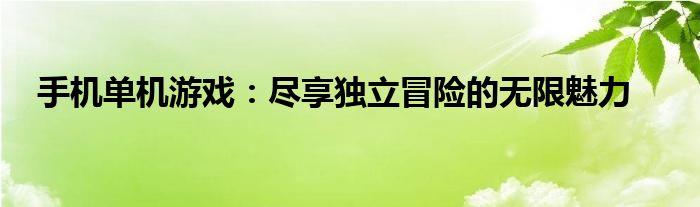 手机单机游戏：尽享独立冒险的无限魅力