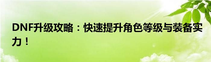 DNF升级攻略：快速提升角色等级与装备实力！