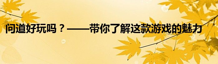 问道好玩吗？——带你了解这款游戏的魅力