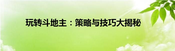 玩转斗地主：策略与技巧大揭秘