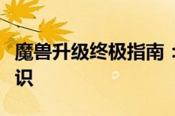 魔兽升级终极指南：最新攻略、技巧与必备知识