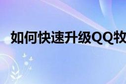 如何快速升级QQ牧场？策略与技巧全解析