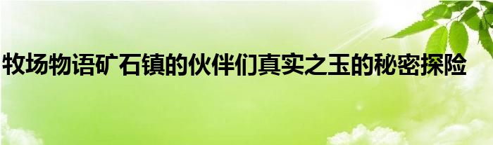 牧场物语矿石镇的伙伴们真实之玉的秘密探险