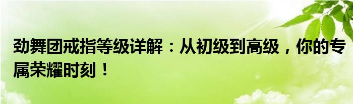 劲舞团戒指等级详解：从初级到高级，你的专属荣耀时刻！