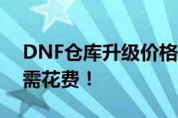 DNF仓库升级价格大解析：全面了解升级所需花费！