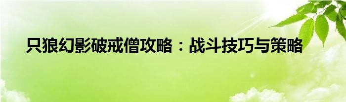 只狼幻影破戒僧攻略：战斗技巧与策略