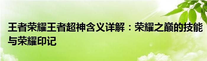 王者荣耀王者超神含义详解：荣耀之巅的技能与荣耀印记