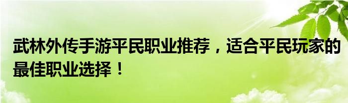 武林外传手游平民职业推荐，适合平民玩家的最佳职业选择！