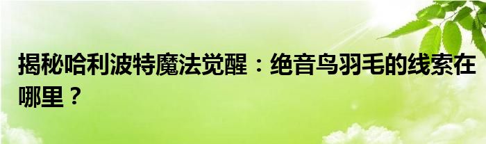 揭秘哈利波特魔法觉醒：绝音鸟羽毛的线索在哪里？