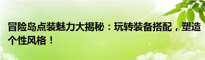 冒险岛点装魅力大揭秘：玩转装备搭配，塑造个性风格！