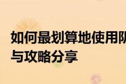 如何最划算地使用阴阳师大吉达摩？策略指南与攻略分享