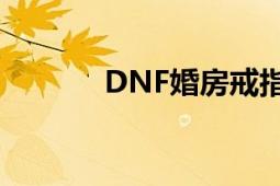 DNF婚房戒指各阶段属性详解