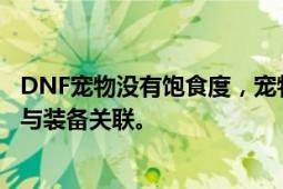 DNF宠物没有饱食度，宠物装备依旧生效吗？解析宠物系统与装备关联。