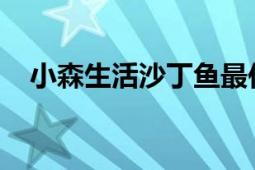 小森生活沙丁鱼最佳捕捉地点与概率解析