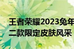 王者荣耀2023兔年限定皮肤全解析：揭秘十二款限定皮肤风采