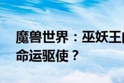 魔兽世界：巫妖王的命令——自主行动还是命运驱使？