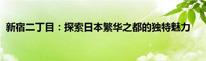 新宿二丁目：探索日本繁华之都的独特魅力