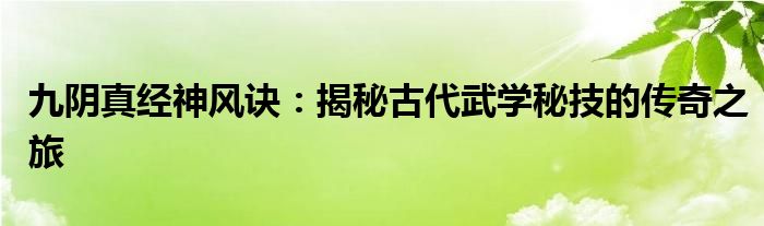 九阴真经神风诀：揭秘古代武学秘技的传奇之旅