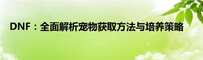 DNF：全面解析宠物获取方法与培养策略