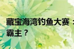 藏宝海湾钓鱼大赛：垂钓盛宴，谁将成为海洋霸主？