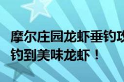 摩尔庄园龙虾垂钓攻略：探秘最佳钓点，轻松钓到美味龙虾！